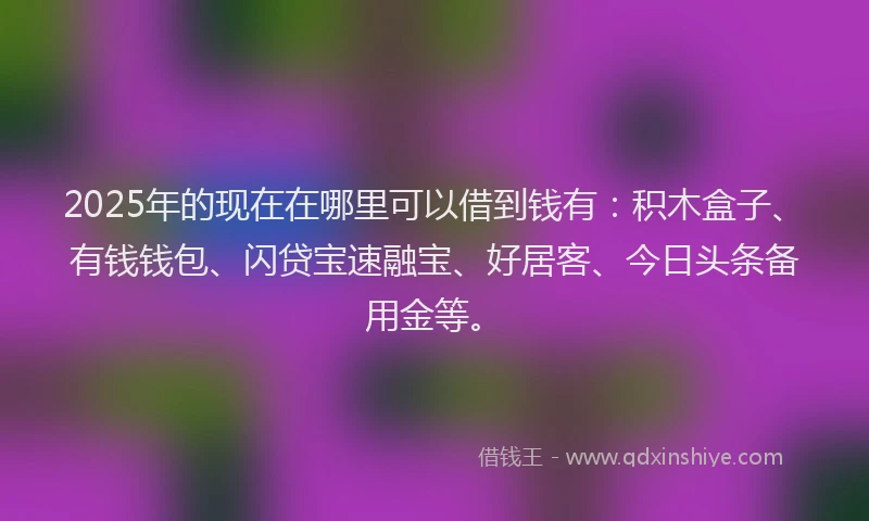 2025年的现在在哪里可以借到钱有：积木盒子、有钱钱包、闪贷宝速融宝、好居客、今日头条备用金等。