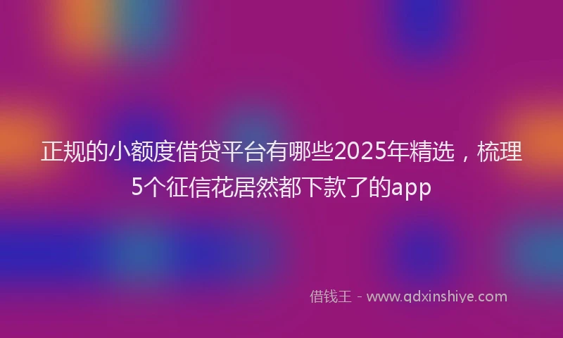 正规的小额度借贷平台有哪些2025年精选，梳理5个征信花居然都下款了的app