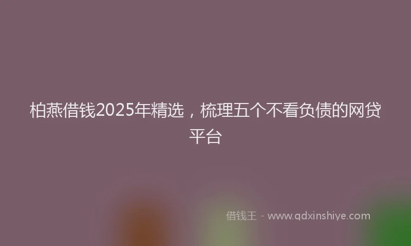 柏燕借钱2025年精选，梳理五个不看负债的网贷平台