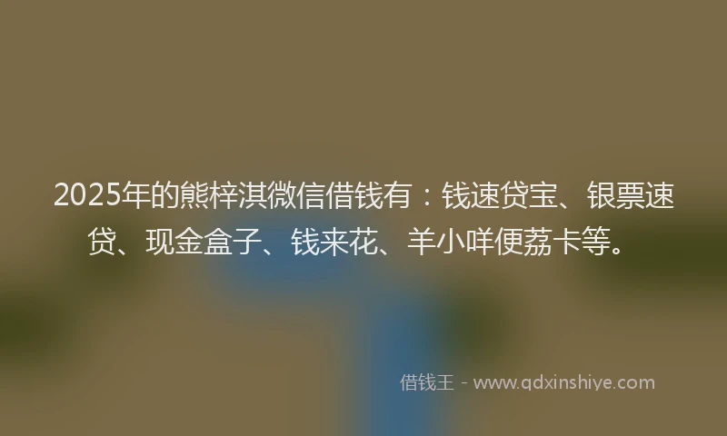 2025年的熊梓淇微信借钱有：钱速贷宝、银票速贷、现金盒子、钱来花、羊小咩便荔卡等。
