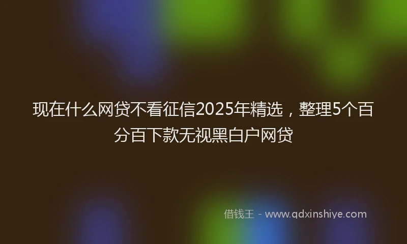 现在什么网贷不看征信2025年精选，整理5个百分百下款无视黑白户网贷