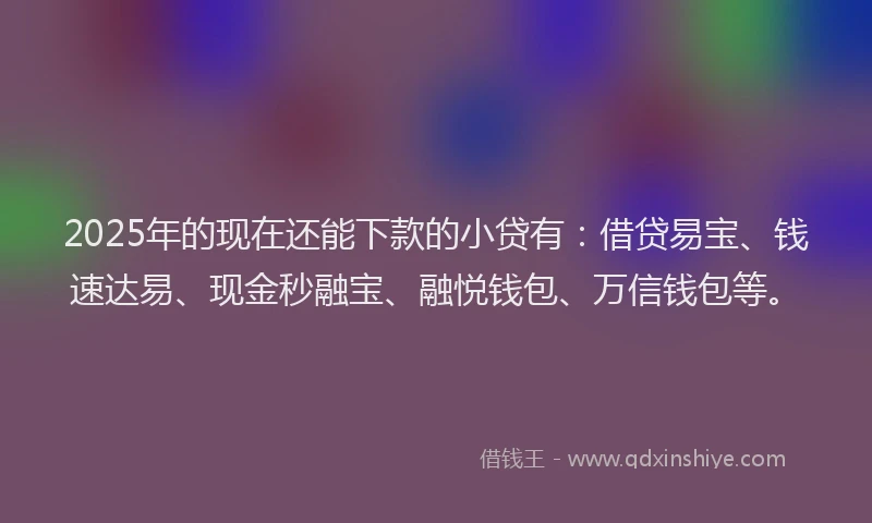 2025年的现在还能下款的小贷有：借贷易宝、钱速达易、现金秒融宝、融悦钱包、万信钱包等。