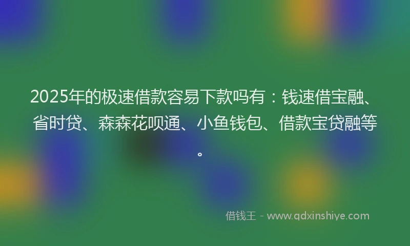 2025年的极速借款容易下款吗有：钱速借宝融、省时贷、森森花呗通、小鱼钱包、借款宝贷融等。