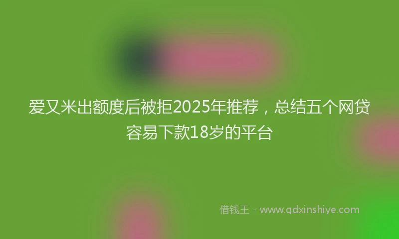 爱又米出额度后被拒2025年推荐，总结五个网贷容易下款18岁的平台