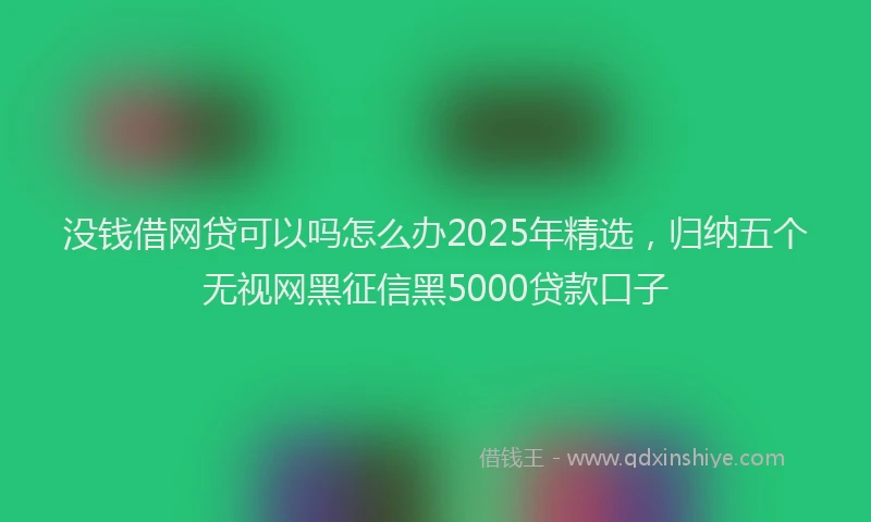 没钱借网贷可以吗怎么办2025年精选，归纳五个无视网黑征信黑5000贷款口子