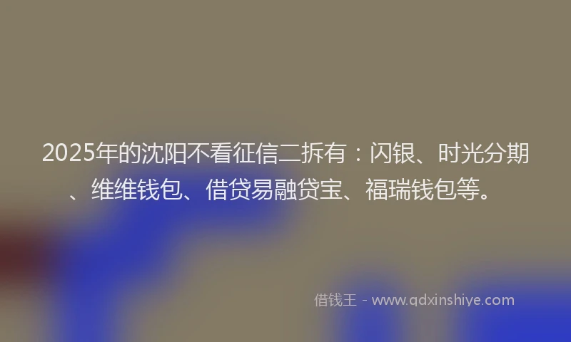 2025年的沈阳不看征信二拆有：闪银、时光分期、维维钱包、借贷易融贷宝、福瑞钱包等。