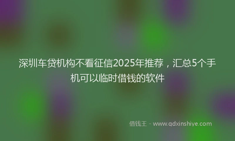 深圳车贷机构不看征信2025年推荐，汇总5个手机可以临时借钱的软件