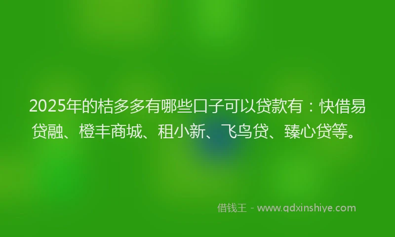 2025年的桔多多有哪些口子可以贷款有：快借易贷融、橙丰商城、租小新、飞鸟贷、臻心贷等。