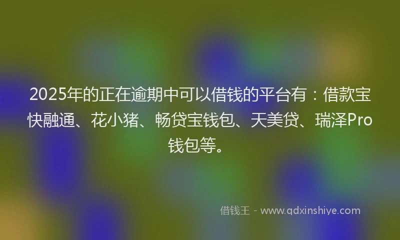 2025年的正在逾期中可以借钱的平台有：借款宝快融通、花小猪、畅贷宝钱包、天美贷、瑞泽Pro钱包等。