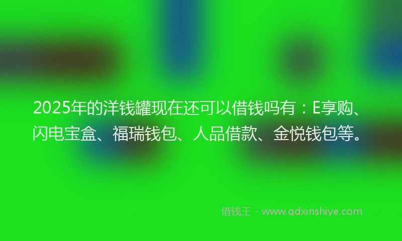 2025年的洋钱罐现在还可以借钱吗有：E享购、闪电宝盒、福瑞钱包、人品借款、金悦钱包等。