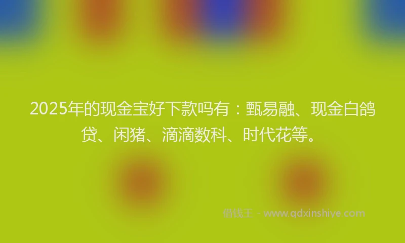 2025年的现金宝好下款吗有：甄易融、现金白鸽贷、闲猪、滴滴数科、时代花等。