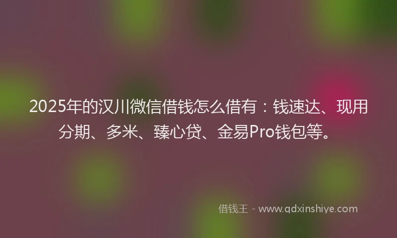 2025年的汉川微信借钱怎么借有：钱速达、现用分期、多米、臻心贷、金易Pro钱包等。