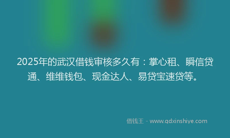 2025年的武汉借钱审核多久有：掌心租、瞬信贷通、维维钱包、现金达人、易贷宝速贷等。