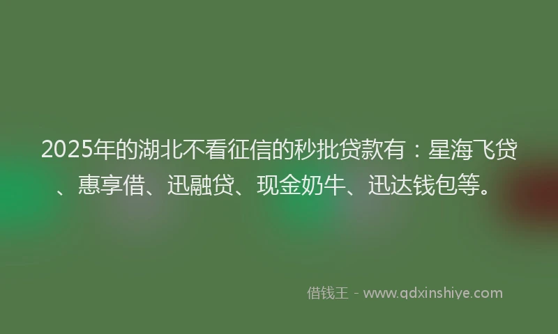 2025年的湖北不看征信的秒批贷款有：星海飞贷、惠享借、迅融贷、现金奶牛、迅达钱包等。