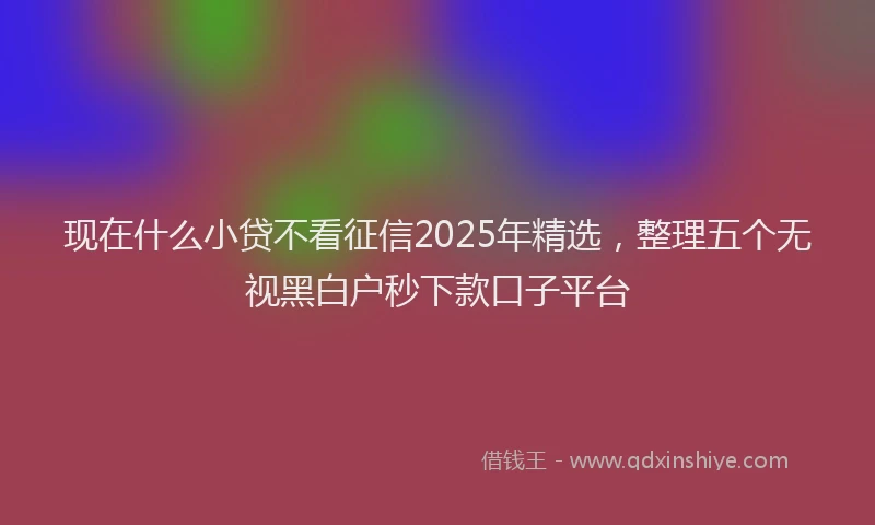 现在什么小贷不看征信2025年精选，整理五个无视黑白户秒下款口子平台