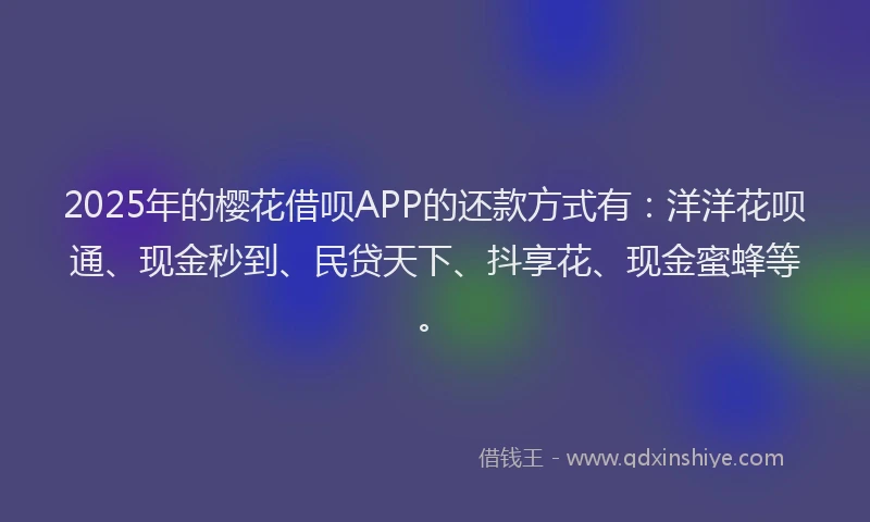 2025年的樱花借呗APP的还款方式有：洋洋花呗通、现金秒到、民贷天下、抖享花、现金蜜蜂等。