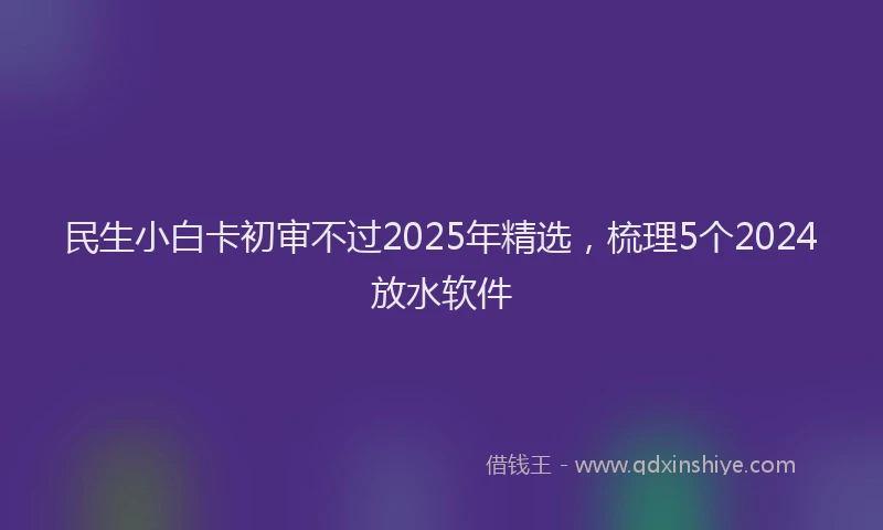 民生小白卡初审不过2025年精选，梳理5个2024放水软件