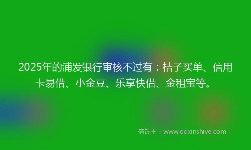 2025年的浦发银行审核不过有：桔子买单、信用卡易借、小金豆、乐享快借、金租宝等。