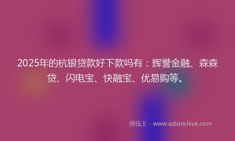 2025年的杭银贷款好下款吗有：辉誉金融、森森贷、闪电宝、快融宝、优易购等。