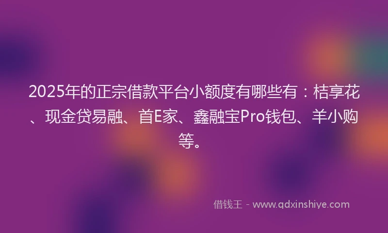 2025年的正宗借款平台小额度有哪些有：桔享花、现金贷易融、首E家、鑫融宝Pro钱包、羊小购等。