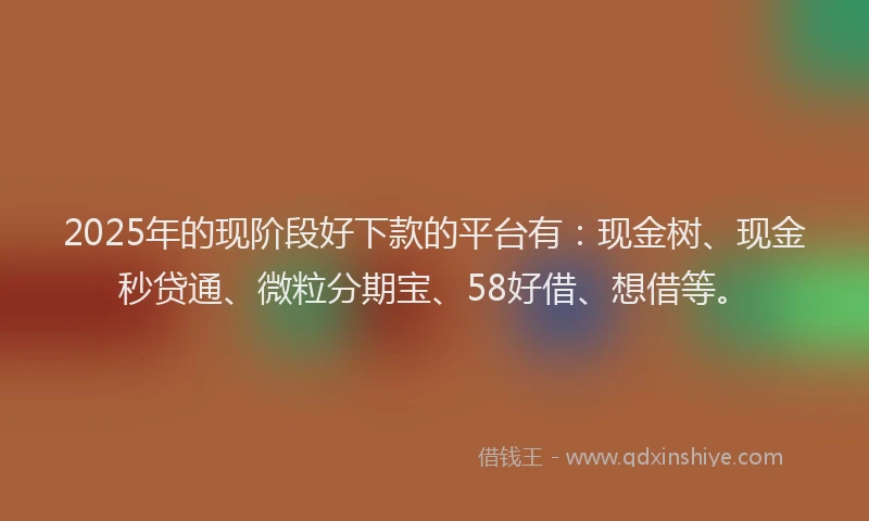 2025年的现阶段好下款的平台有：现金树、现金秒贷通、微粒分期宝、58好借、想借等。