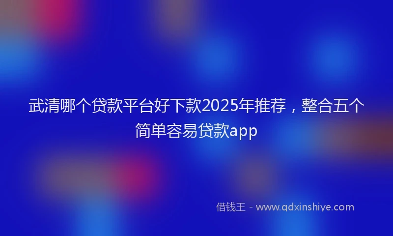 武清哪个贷款平台好下款2025年推荐，整合五个简单容易贷款app