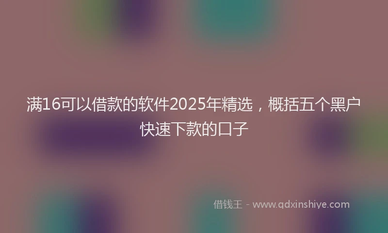 满16可以借款的软件2025年精选，概括五个黑户快速下款的口子