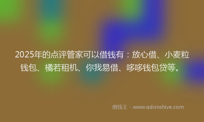 2025年的点评管家可以借钱有：放心借、小麦粒钱包、橘若租机、你我易借、哆哆钱包贷等。