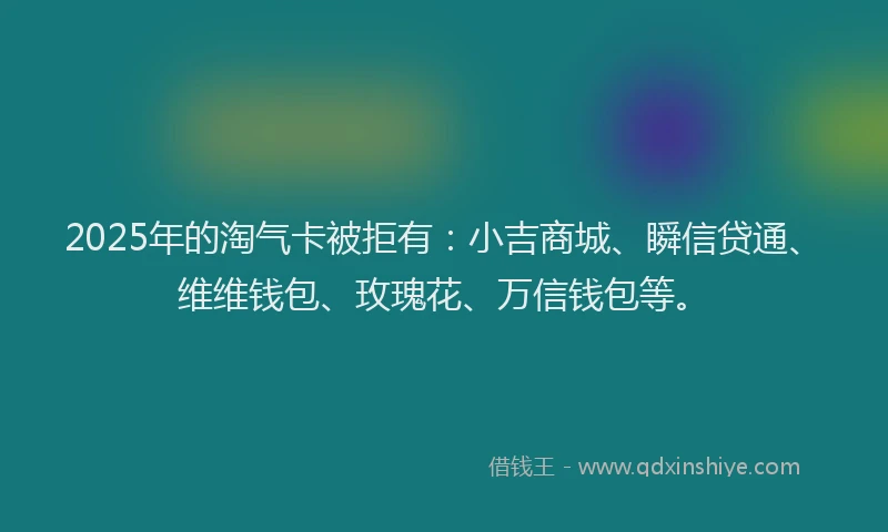2025年的淘气卡被拒有：小吉商城、瞬信贷通、维维钱包、玫瑰花、万信钱包等。