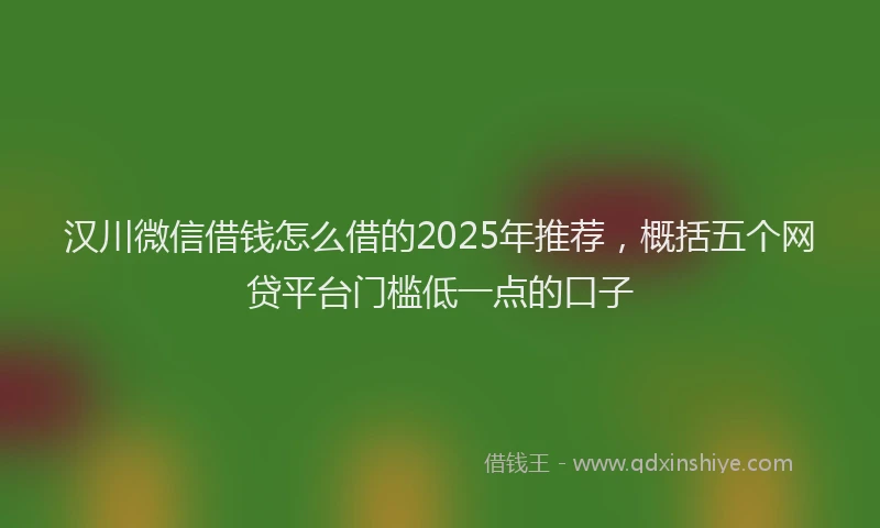 汉川微信借钱怎么借的2025年推荐，概括五个网贷平台门槛低一点的口子