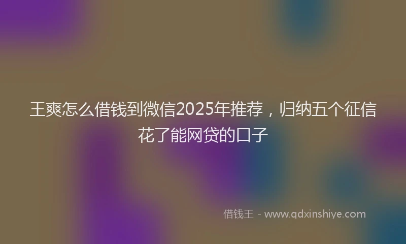 王爽怎么借钱到微信2025年推荐，归纳五个征信花了能网贷的口子