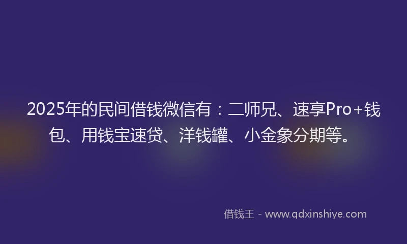 2025年的民间借钱微信有：二师兄、速享Pro+钱包、用钱宝速贷、洋钱罐、小金象分期等。