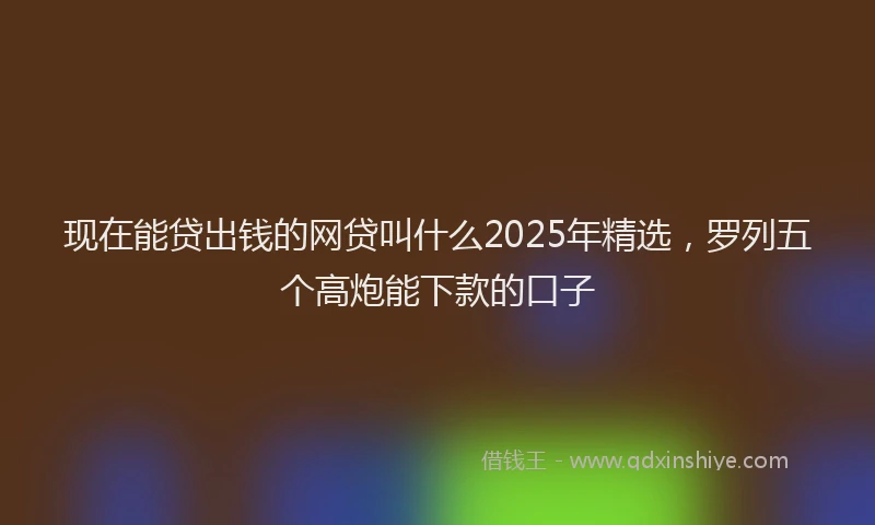 现在能贷出钱的网贷叫什么2025年精选，罗列五个高炮能下款的口子