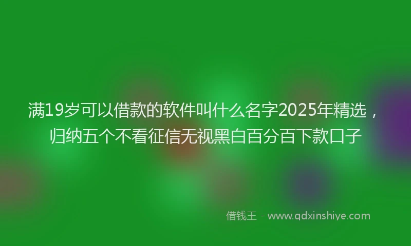 满19岁可以借款的软件叫什么名字2025年精选，归纳五个不看征信无视黑白百分百下款口子