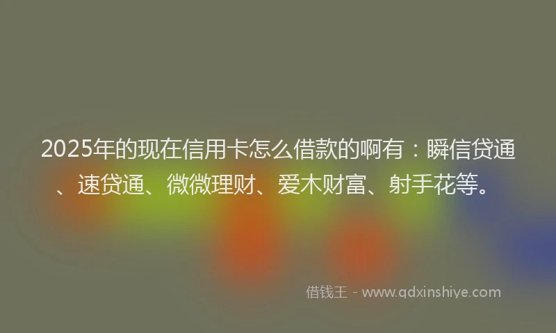 2025年的现在信用卡怎么借款的啊有：瞬信贷通、速贷通、微微理财、爱木财富、射手花等。