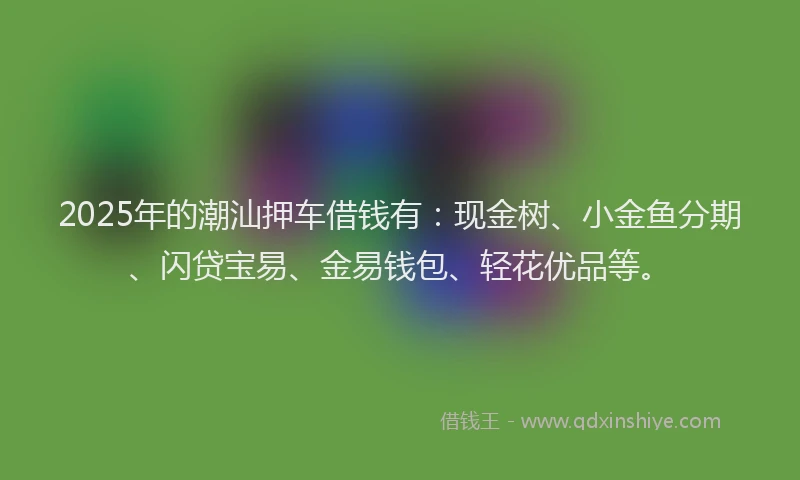 2025年的潮汕押车借钱有：现金树、小金鱼分期、闪贷宝易、金易钱包、轻花优品等。