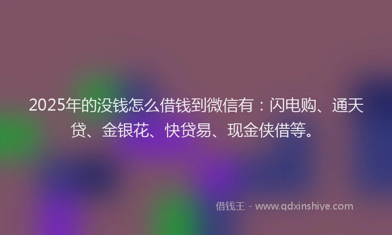 2025年的没钱怎么借钱到微信有：闪电购、通天贷、金银花、快贷易、现金侠借等。
