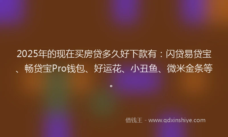 2025年的现在买房贷多久好下款有：闪贷易贷宝、畅贷宝Pro钱包、好运花、小丑鱼、微米金条等。