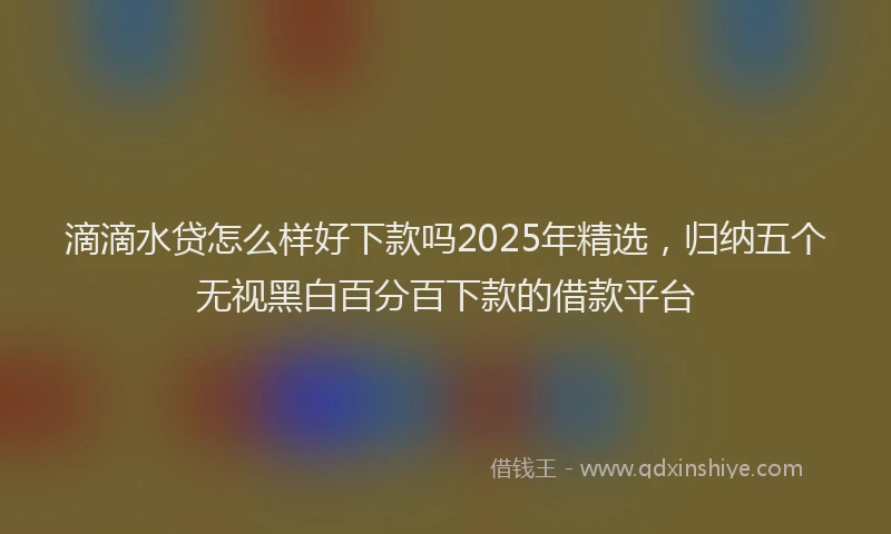 滴滴水贷怎么样好下款吗2025年精选，归纳五个无视黑白百分百下款的借款平台