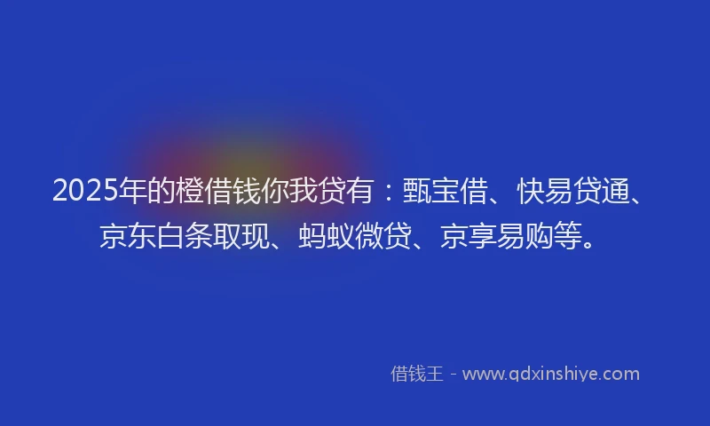 2025年的橙借钱你我贷有：甄宝借、快易贷通、京东白条取现、蚂蚁微贷、京享易购等。