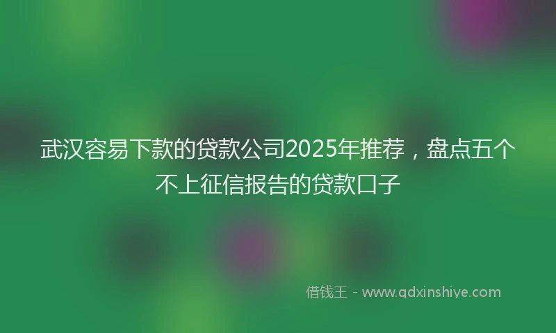 武汉容易下款的贷款公司2025年推荐，盘点五个不上征信报告的贷款口子