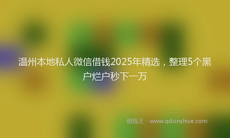 温州本地私人微信借钱2025年精选，整理5个黑户烂户秒下一万