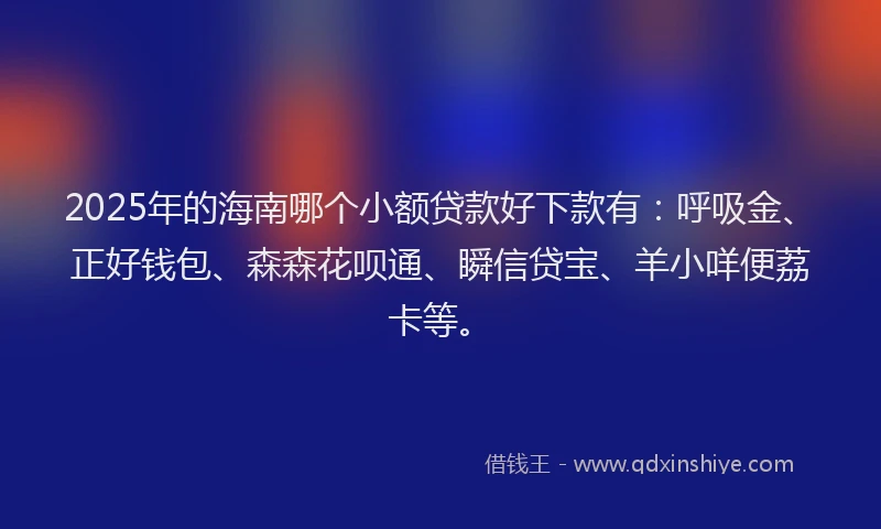 2025年的海南哪个小额贷款好下款有：呼吸金、正好钱包、森森花呗通、瞬信贷宝、羊小咩便荔卡等。