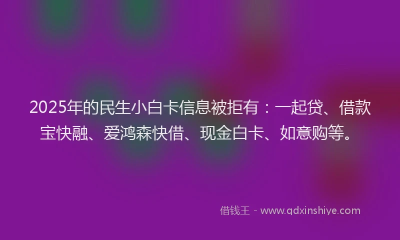2025年的民生小白卡信息被拒有：一起贷、借款宝快融、爱鸿森快借、现金白卡、如意购等。