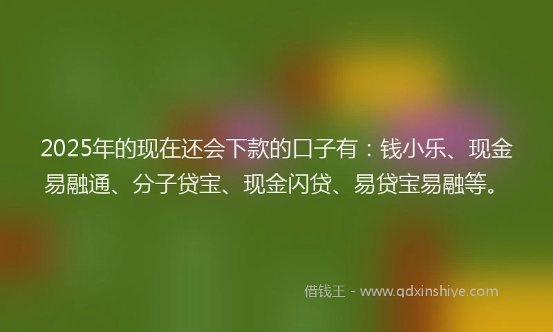 2025年的现在还会下款的口子有：钱小乐、现金易融通、分子贷宝、现金闪贷、易贷宝易融等。