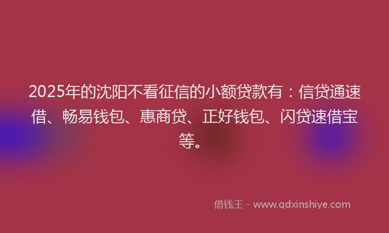 2025年的沈阳不看征信的小额贷款有：信贷通速借、畅易钱包、惠商贷、正好钱包、闪贷速借宝等。