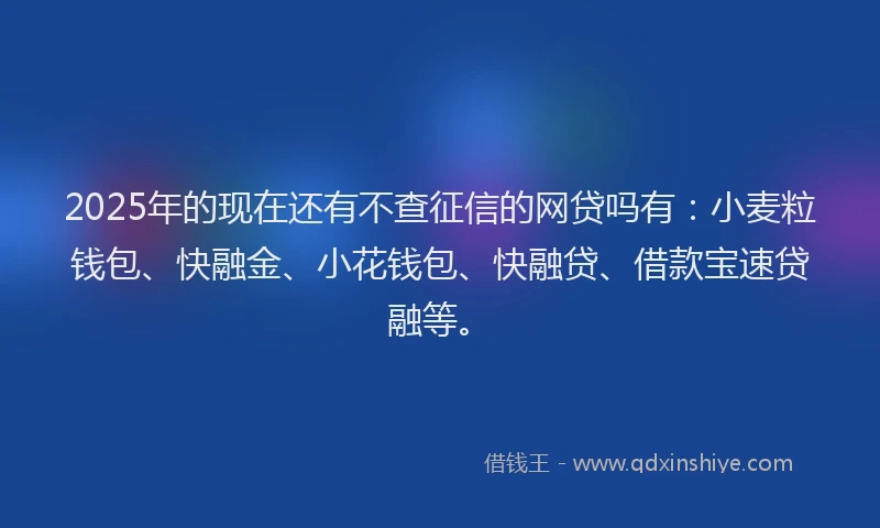 2025年的现在还有不查征信的网贷吗有：小麦粒钱包、快融金、小花钱包、快融贷、借款宝速贷融等。