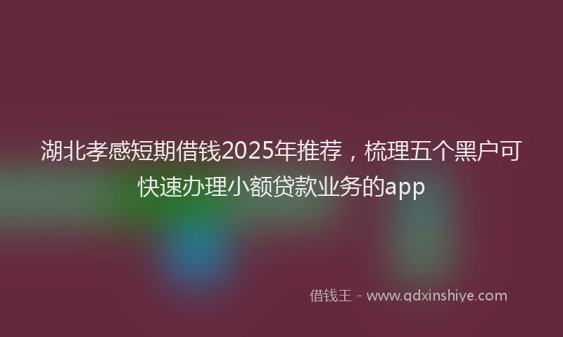 湖北孝感短期借钱2025年推荐，梳理五个黑户可快速办理小额贷款业务的app