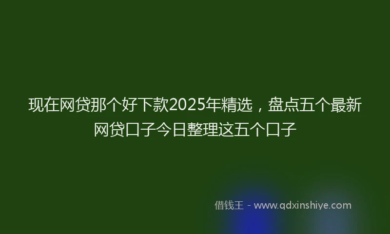 现在网贷那个好下款2025年精选，盘点五个最新网贷口子今日整理这五个口子
