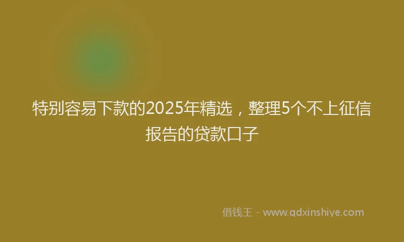 特别容易下款的2025年精选，整理5个不上征信报告的贷款口子